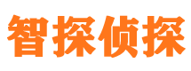 沙坪坝外遇出轨调查取证